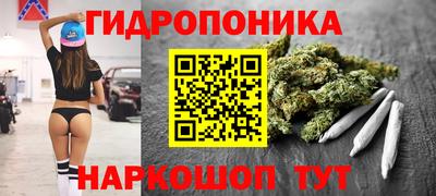 крисы Ярославль