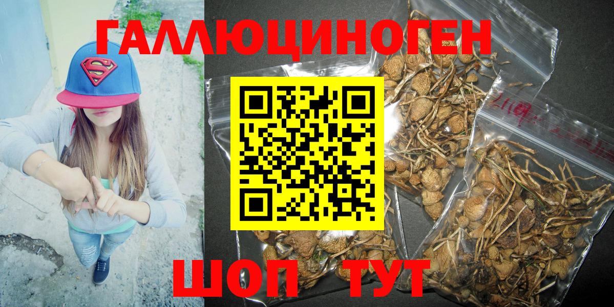 Галлюциногенные грибы GOLDEN TEACHER Берёзовский