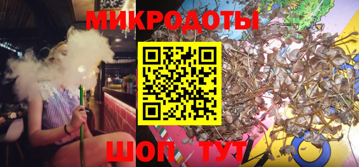 Галлюциногенные грибы Psilocybine cubensis  Галлюциногенные грибы Magic Shrooms  наркота  Берёзовский  Вход с VPN 