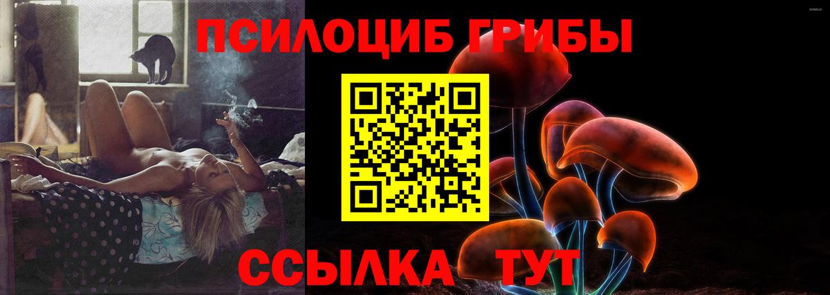 Псилоцибиновые грибы мухоморы Берёзовский